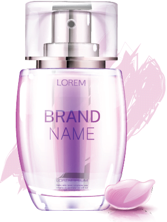 best design wp website