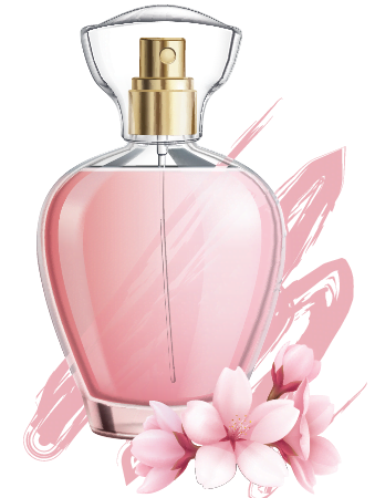 branding wp website theme